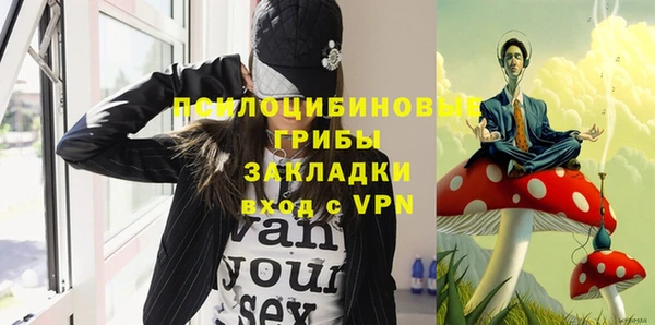 МДПВ Осташков
