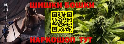МДПВ Можга