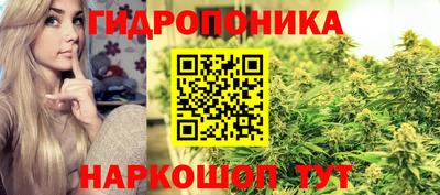 МДПВ Можга
