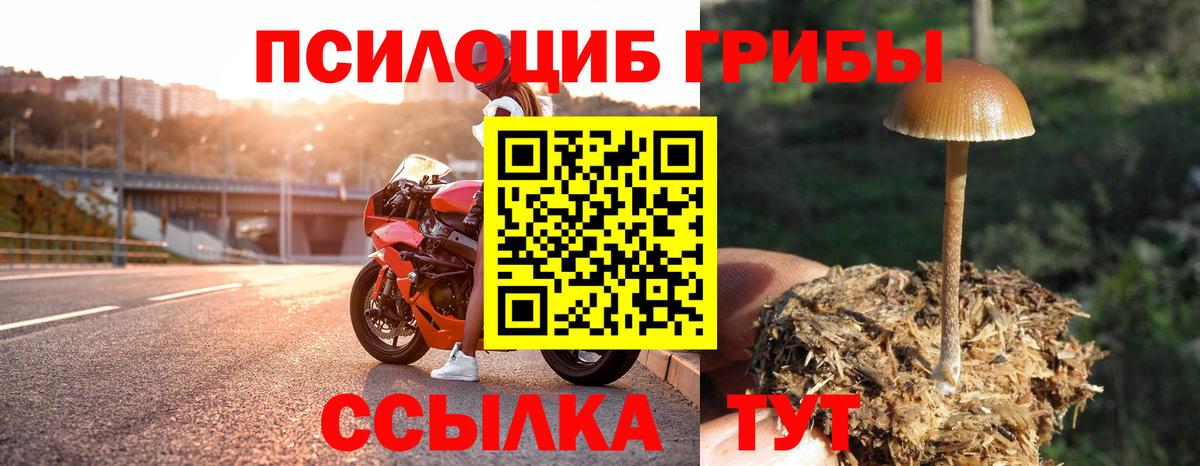 Псилоцибиновые грибы Psilocybine cubensis  Вход с VPN  Югорск 